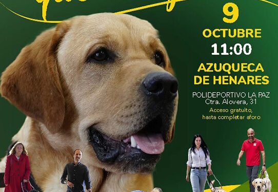 Exhibición de los perros guía de la ONCE en Azuqueca de Henares
