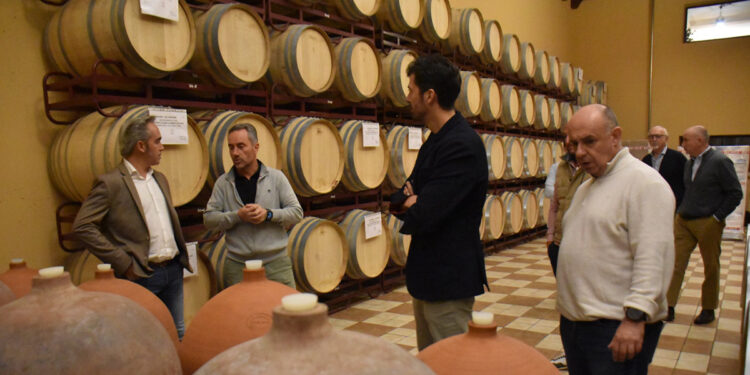 La Diputación de Cuenca apoya al sector vitivinícola conquense ante la afección por los aranceles de Estados Unidos