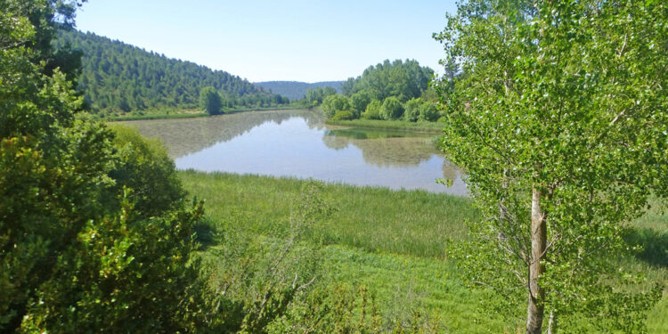 La Diputación de Cuenca refuerza su apuesta por el deporte en la naturaleza con dos nuevos senderos homologados 1 La Diputación de Cuenca refuerza su apuesta por el deporte en la naturaleza con dos nuevos senderos homologados