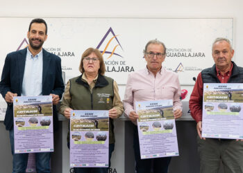 La Feria del Ganado de Cantalojas celebra su XXXIX edición el próximo domingo 12 de octubre