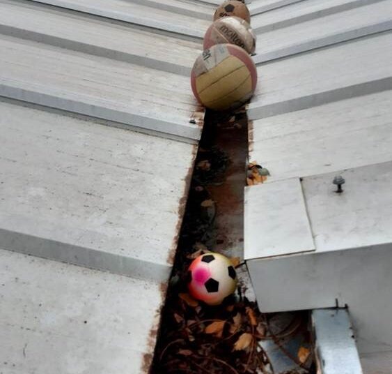 La Junta defiende sus inversiones en el CEIP ‘Princesa Sofía’ de Minglanilla y señala a la falta de mantenimiento del Ayuntamiento como causa de las goteras 2 La Junta defiende las inversiones del Gobierno regional en el CEIP ‘Princesa Sofía’ y señala a la falta de mantenimiento del Ayuntamiento como causa de las goteras