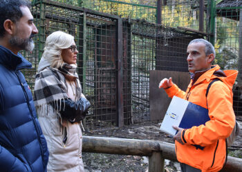 La Junta invierte más de medio millón de euros en la mejora del Parque Natural El Hosquillo 4 La Junta invierte más de medio millón de euros en la mejora del Parque Cinegético El Hosquillo