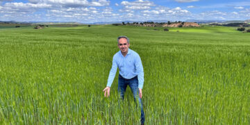La Junta paga casi 50 millones de euros del primer anticipo de la PAC 2025 a cerca de 28.000 agricultores y ganaderos conquenses