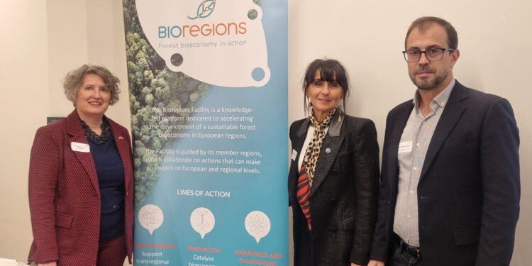 La Junta presenta en Bruselas su ‘Estrategia regional de Bioeconomía’ y destaca el papel clave de los recursos forestales en la transición ecológica 1 La Junta presenta en Bruselas su ‘Estrategia regional de Bioeconomía’ y destaca el papel clave de los recursos forestales en la transición ecológica