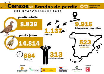 Los cazadores vuelven a batir récord y superan los 1.100 censos de bandos de perdiz con el Observatorio Cinegético 7 Los cazadores vuelven a batir récord y superan los 1.100 censos de bandos de perdiz con el Observatorio Cinegético