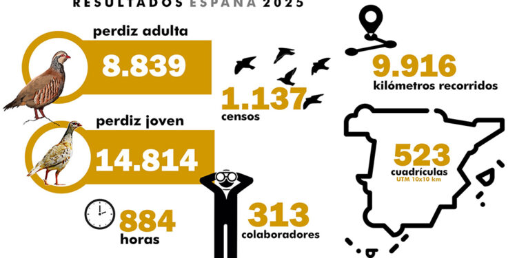Los cazadores vuelven a batir récord y superan los 1.100 censos de bandos de perdiz con el Observatorio Cinegético