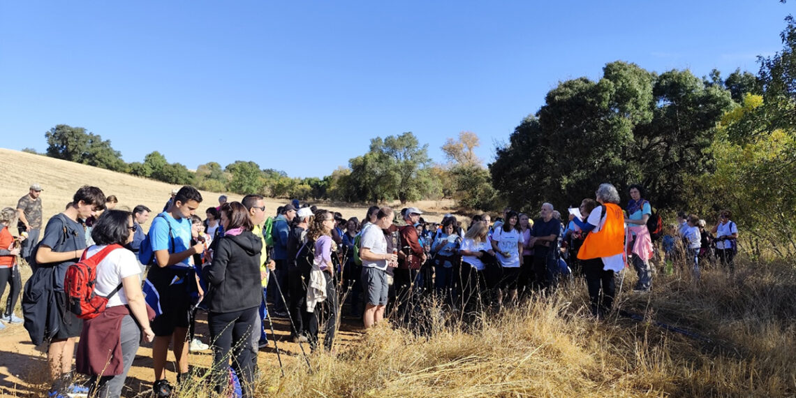 Más de 160 senderistas recorren los caminos de Malaguilla dentro de la actividad Campiñeando 2 Más de 160 senderistas recorren los caminos de Malaguilla dentro de la actividad Campiñeando