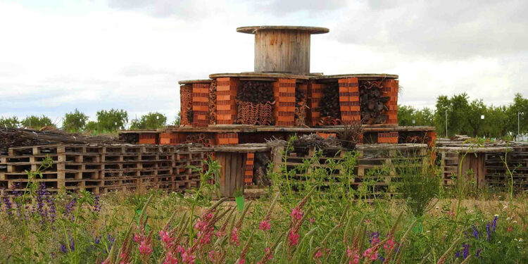 Un estudio científico en las plantas solares de Endesa en Minglanilla demuestra que estas instalaciones recuperan la biodiversidad natural del entorno
