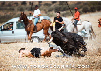 Álvaro Marín se alza con el Primer Premio por ‘Cuerpo a tierra’ en una gala que ToroAlcarria dedicó a Miguel Ruiz Berlanga