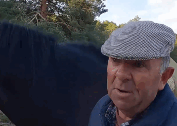 Raíces. La trashumancia se muere en la provincia de Cuenca. Un año más, y con este van tres, los Cardo llevarán a las ovejas en camiones hasta el Valle de Alcudia. 6 Raíces. La trashumancia se muere en la provincia de Cuenca. Un año más, y con este van tres, los Cardo llevarán a las ovejas en camiones hasta el Valle de Alcudia.