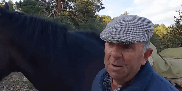 Captura de pantalla 2025 11 06 181317