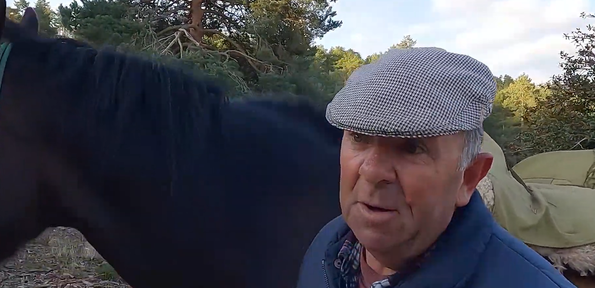 Captura de pantalla 2025 11 06 181317