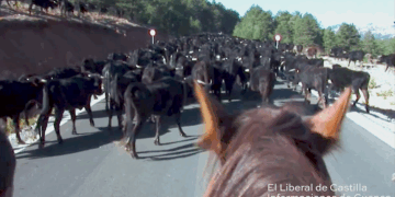 Raíces. Por la Vereda. Documental realizado en el año 2009