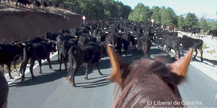 Captura de pantalla 2025 11 14 132944