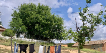 Carta abierta a D. Emiliano García–Page desde los pueblos de Guadalajara