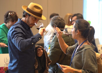 DO La Mancha prepara la presentación de sus vinos Jóvenes 2025 en Madrid