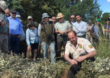 De eliminar a controlar depredadores, un estudio examina la situación actual del control de predadores en España