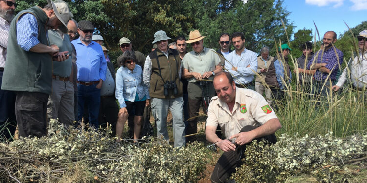 De eliminar a controlar depredadores, un estudio examina la situación actual del control de predadores en España