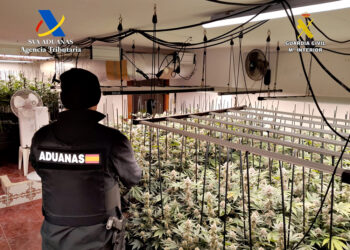 Desmantelada una nueva plantación indoor de marihuana en un inmueble de Trijueque