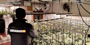 Desmantelada una nueva plantación indoor de marihuana en un inmueble de Trijueque