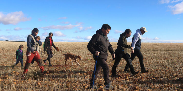 Dulce paseo otonal por el Campo de Golf y el Paraje de San Blas 1