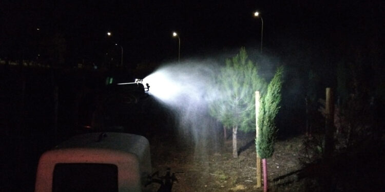 El Ayuntamiento de Azuqueca aplica un tratamiento contra la procesionaria del pino 1 El Ayuntamiento de Azuqueca aplica un tratamiento contra la procesionaria del pino