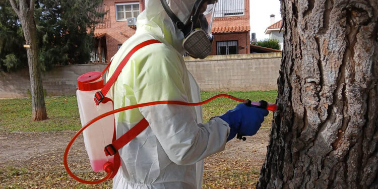 El Ayuntamiento de Cabanillas insiste con los tratamientos de endoterapia contra la procesionaria 1 El Ayuntamiento de Cabanillas insiste con los tratamientos de endoterapia contra la procesionaria