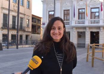 El PSOE denuncia que Guarinos se gasta más dinero esta Navidad y en llenar de luces la ciudad, aún a oscuras, “mientras nos sigue asfixiando a impuestos” 1 El PSOE denuncia que Guarinos se gasta más dinero esta Navidad y en llenar de luces la ciudad, aún a oscuras, “mientras nos sigue asfixiando a impuestos”