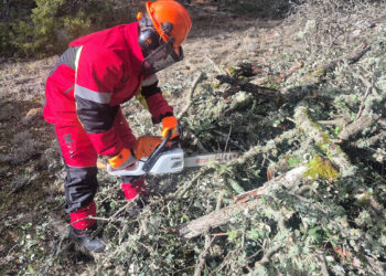 El Recuenco ofrece leña cortada a sus vecinos gracias a un nuevo servicio municipal