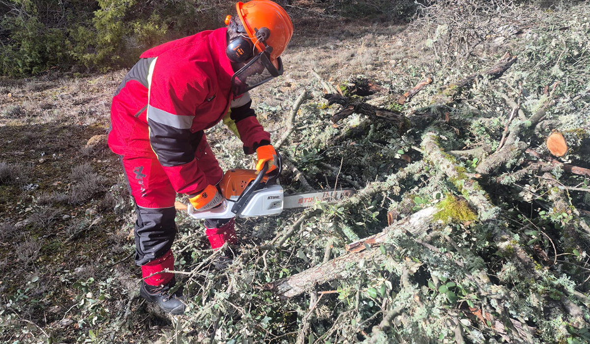 El Recuenco ofrece leña cortada a sus vecinos gracias a un nuevo servicio municipal 2 El Recuenco ofrece leña cortada a sus vecinos gracias a un nuevo servicio municipal