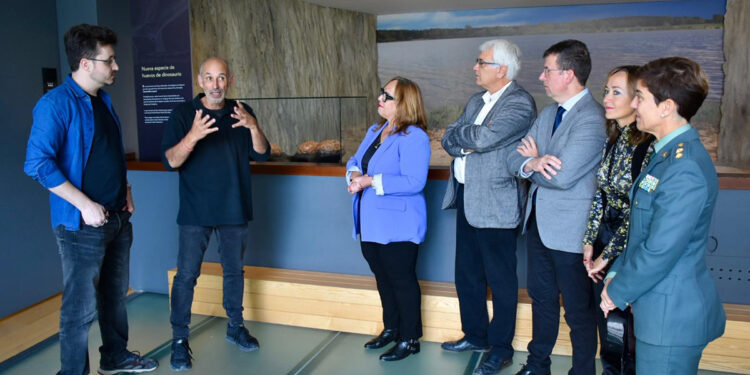 La Junta dota al MUPA de una nueva vitrina con huevos de titanosaurios descubiertos en el yacimiento cretácico de Poyos (Guadalajara) 1 La Junta dota al MUPA de una nueva vitrina con huevos de titanosaurios descubiertos en el yacimiento cretacico de Poyos Guadalajara