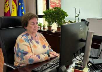 La Junta facilita a las personas trabajadoras autónomas el acceso y uso de la sede electrónica para sus trámites