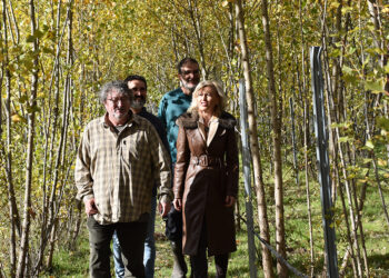La Junta invierte más de 75.000 euros en mejorar las instalaciones del Vivero Provincial, dedicado a proteger la flora de Cuenca
