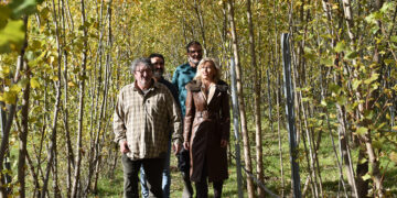 La Junta invierte más de 75.000 euros en mejorar las instalaciones del Vivero Provincial, dedicado a proteger la flora de Cuenca