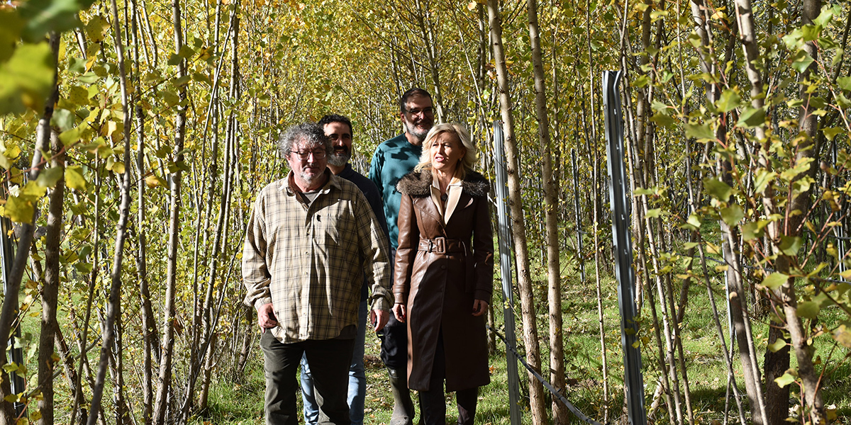 La Junta invierte más de 75.000 euros en mejorar las instalaciones del Vivero Provincial, dedicado a proteger la flora de Cuenca 2 La Junta invierte más de 75.000 euros en mejorar las instalaciones del Vivero Provincial, dedicado a proteger la flora de Cuenca