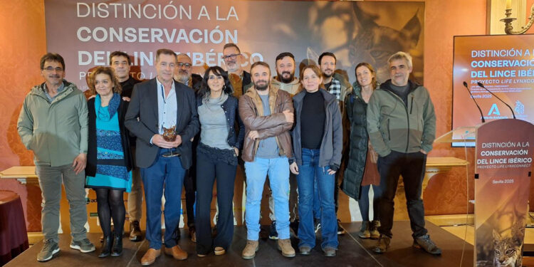 La Junta pone en valor el imprescindible trabajo de los propietarios de fincas privadas en la exitosa recuperación del lince ibérico en Castilla-La Mancha