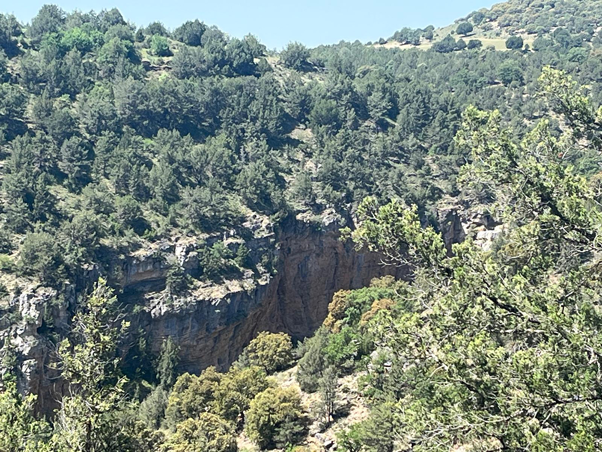 La Plataforma para la Defensa del Valle y Hoces del Mesa anuncia la presentación de un recurso contra la aprobación urbanística de la granja industrial “La Velasca”