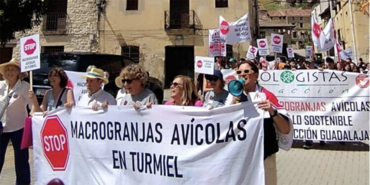 La Plataforma para la Defensa del Valle y Hoces del Mesa anuncia la presentación de un recurso contra la aprobación urbanística de la granja industrial “La Velasca” 1 La Plataforma para la Defensa del Valle y Hoces del Mesa anuncia la presentación de un recurso contra la aprobación urbanística de la granja industrial “La Velasca”