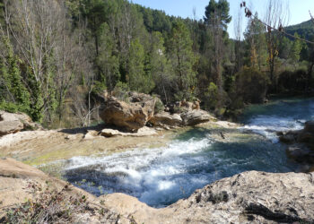 Los meses de verano refrendan el buen momento del turismo rural en Cuenca 3 Los meses de verano refrendan el buen momento del turismo rural en Cuenca
