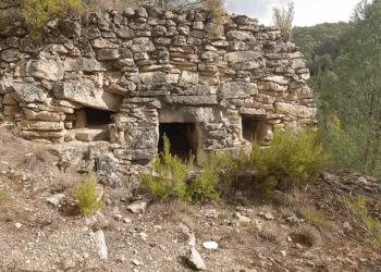 Raíces. ¿Qué es una mierera? Te lo contamos