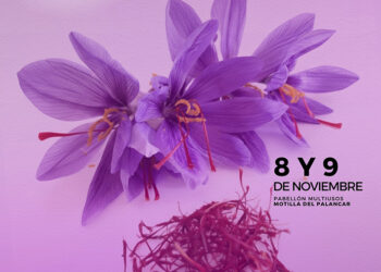 Motilla del Palancar celebra las III Jornadas del Azafrán con gastronomía, talleres y música en directo 7 Motilla del Palancar celebra las III Jornadas del Azafrán con gastronomía, talleres y música en directo