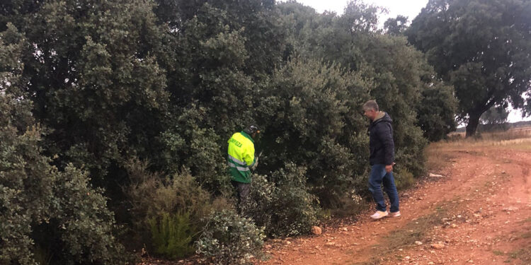 Nueva campaña de aprovechamiento de leña en Fuentenovilla