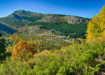 Rescatado un hombre de 65 años en la cumbre del Pico Ocejón 10 Rescatado un hombre de 65 años en la cumbre del Pico Ocejón