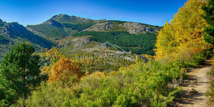 Rescatado un hombre de 65 años en la cumbre del Pico Ocejón