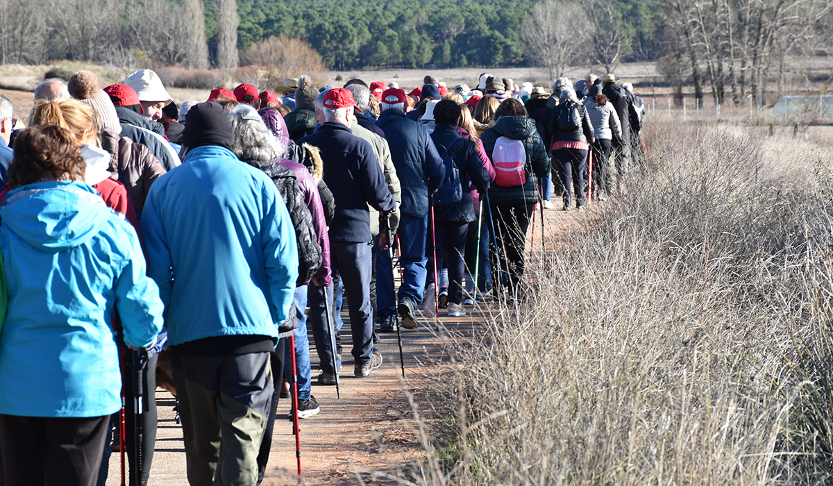 Sotos acoge la última ruta senderista para personas mayores de 2025