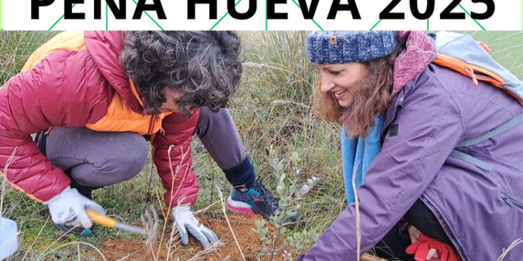 AIKE te invita este sábado a plantar quejigos en Peña Hueva 1 AIKE te invita este sábado a plantar quejigos en Peña Hueva