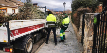 Azuqueca suspende, durante el periodo navideño, el servicio de recogida de restos de poda