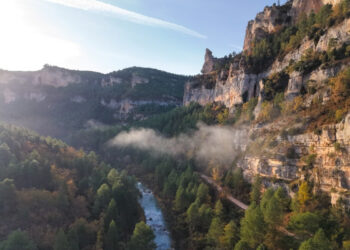 COPADE cierra con éxito Bosque Innova en el Alto Tajo, impulsando la economía local y la conservación forestal