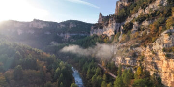 COPADE cierra con éxito Bosque Innova en el Alto Tajo, impulsando la economía local y la conservación forestal