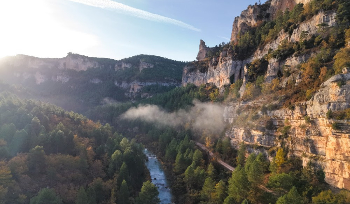 COPADE cierra con éxito Bosque Innova en el Alto Tajo, impulsando la economía local y la conservación forestal 2 COPADE cierra con éxito Bosque Innova en el Alto Tajo, impulsando la economía local y la conservación forestal